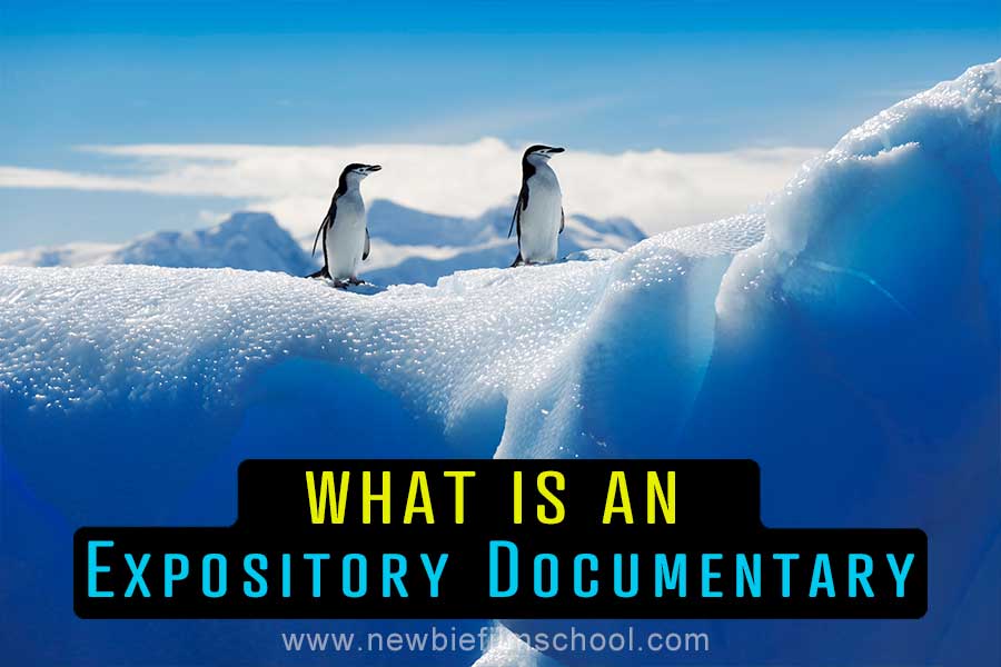 What Is Expository Documentary Style